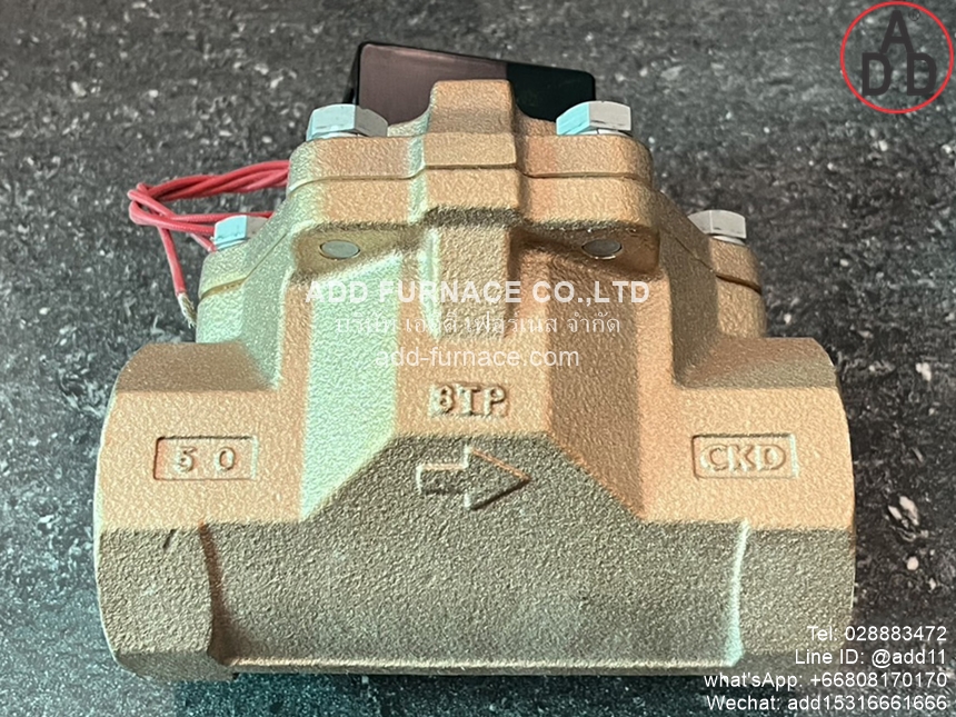 CKD AP21-50A-C4A-AC220V (6) 
